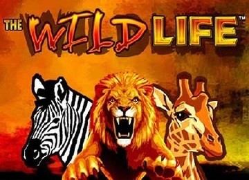Wild Life Slot Online
